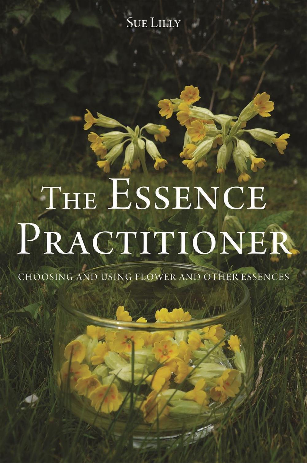 The Essence Practitioner, 9781848192508