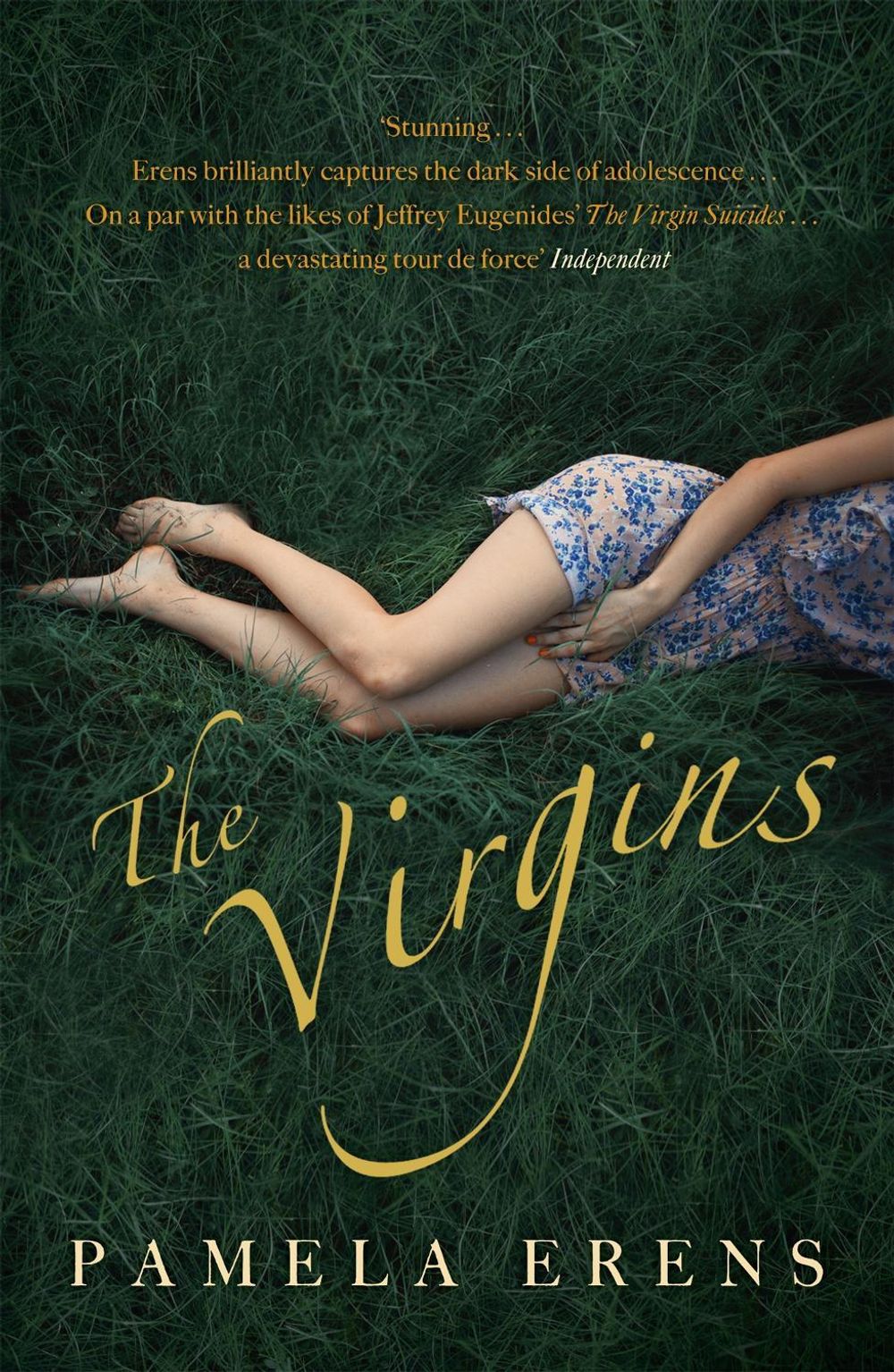 The Virgins by Pamela Erens - ISBN: 9781848549883
