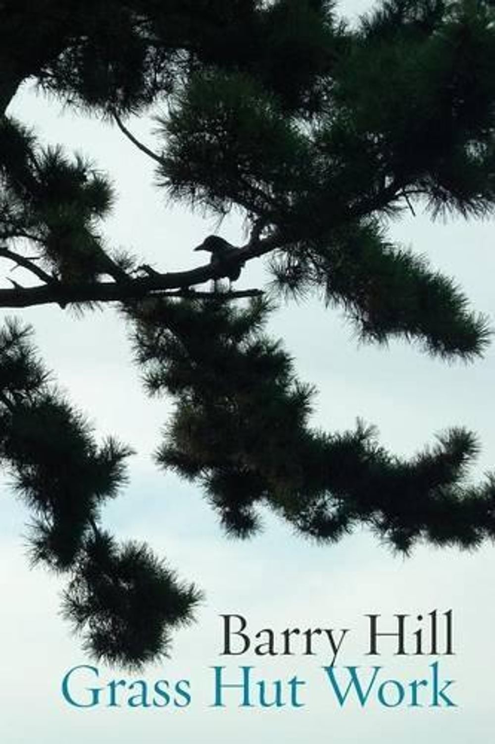 Grass Hut Work by Barry Hill - ISBN: 9781848614758