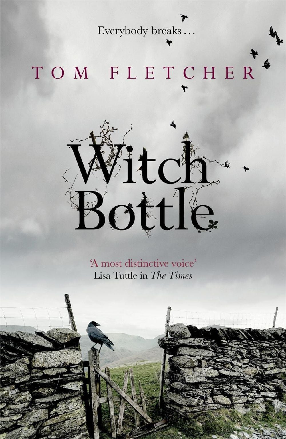Witch Bottle by Tom Fletcher - ISBN: 9781848662636