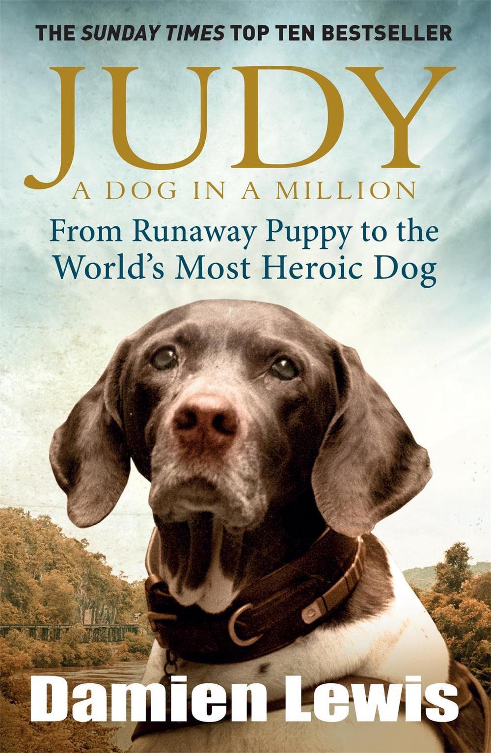 Judy: A Dog in a Million by Damien Lewis - ISBN: 9781848665385
