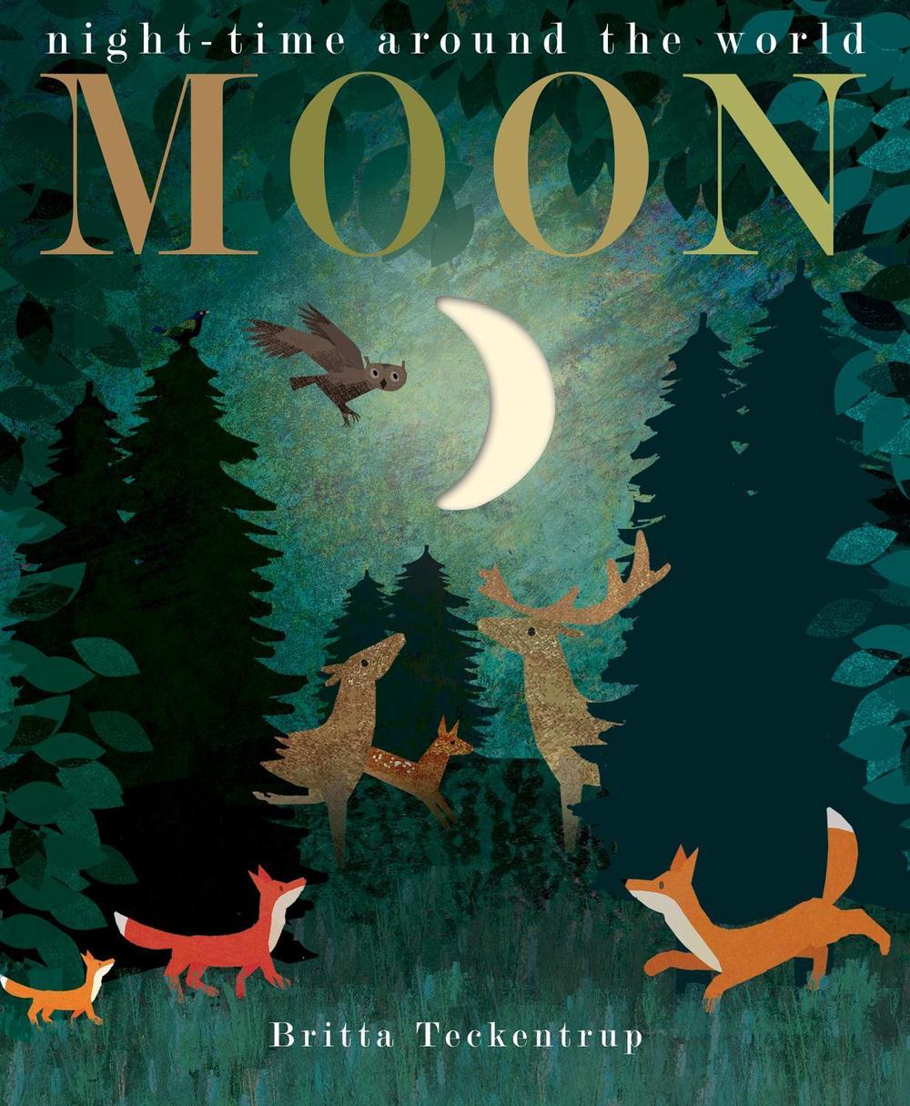 Moon by Patricia Hegarty - ISBN: 9781848696679