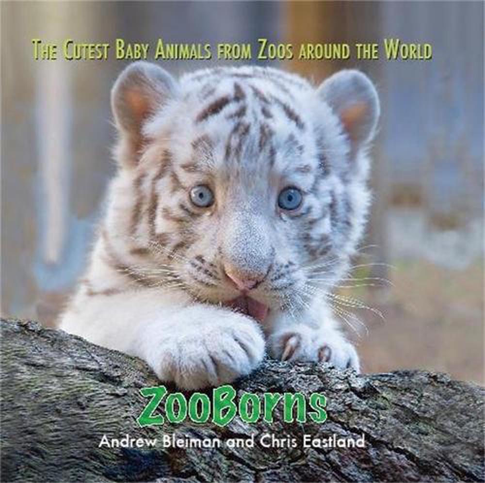 ZooBorns, 9781849015431