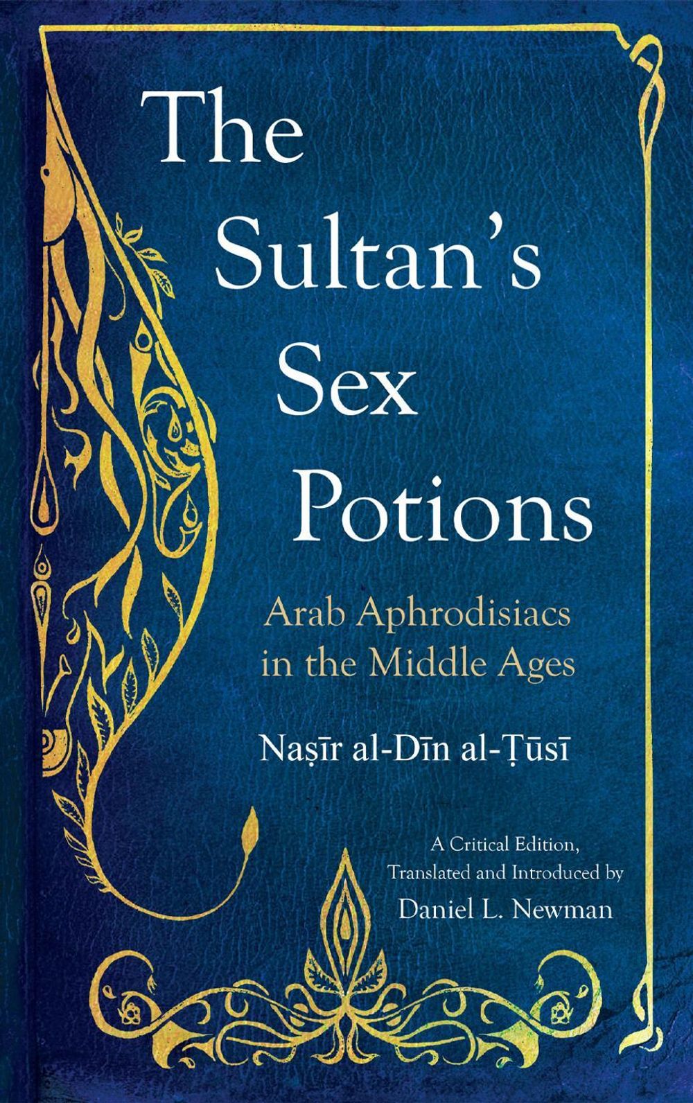 The Sultan's Sex Potions by Daniel L. Newman - ISBN: 9781849250757
