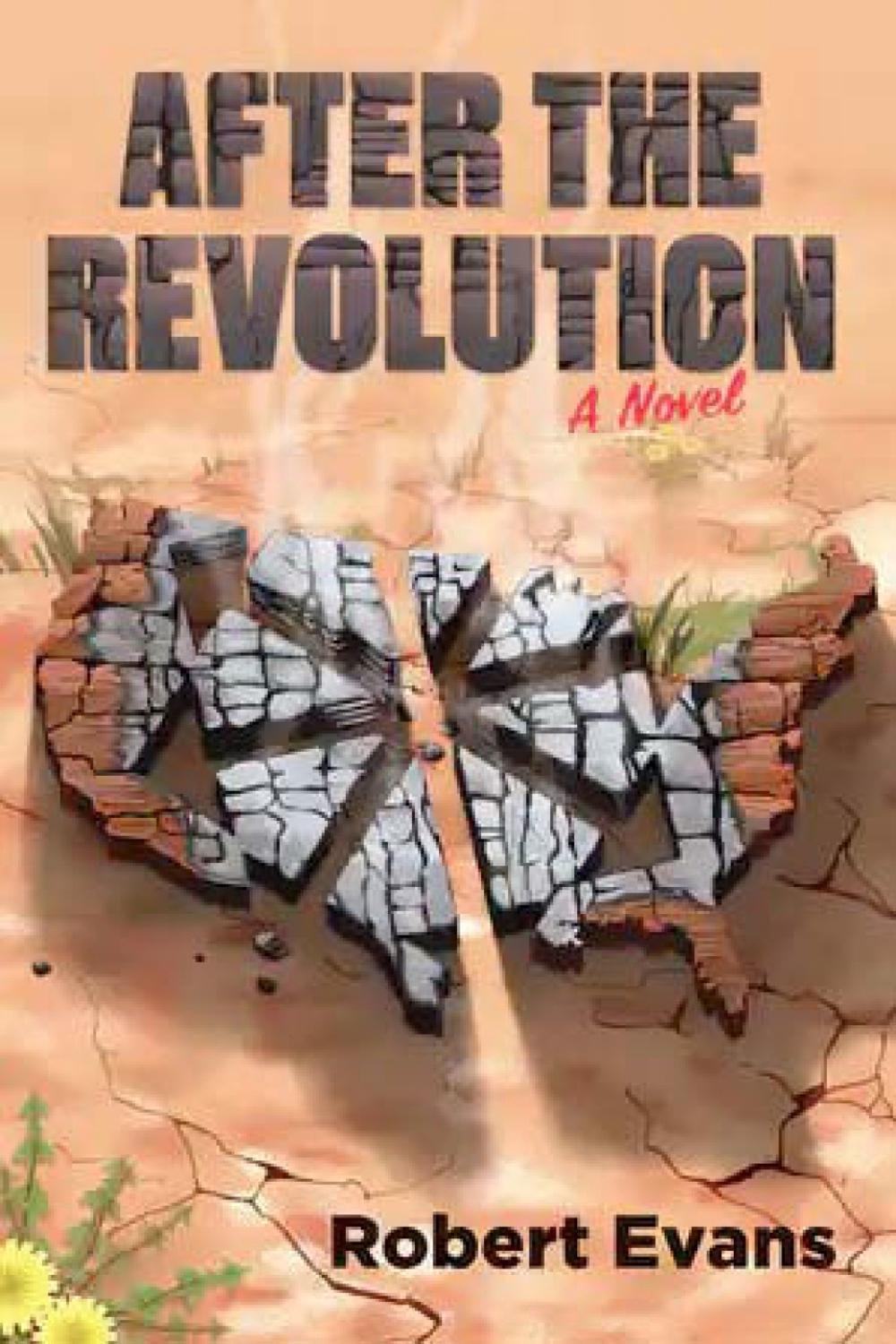 After the Revolution: A Novel, 9781849354622