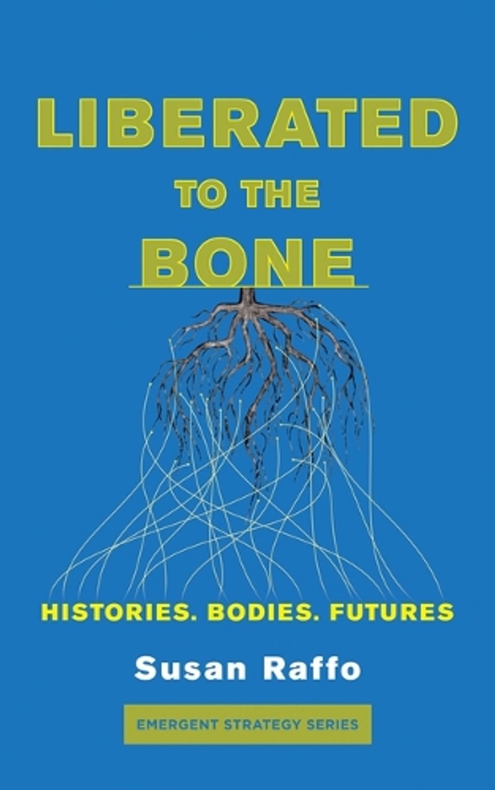 Liberated to the Bone by Susan Raffo - ISBN: 9781849354653