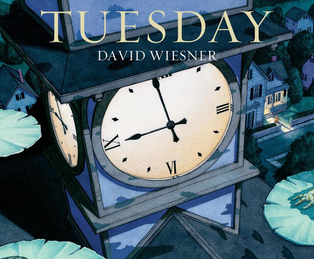 Tuesday by David Wiesner - ISBN: 9781849394475