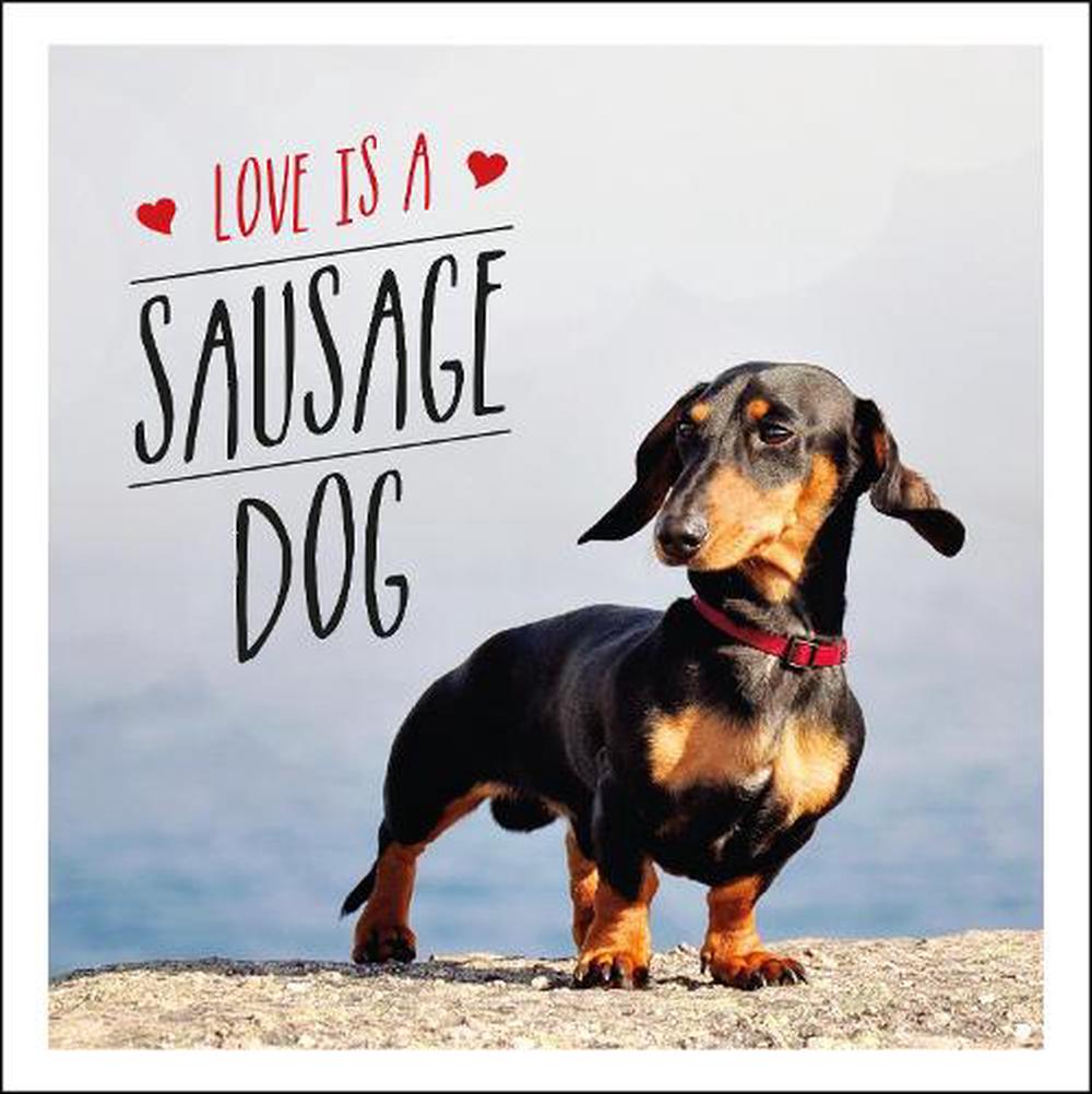 buy sausage dog