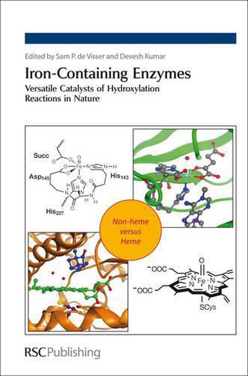 Iron-Containing Enzymes, 9781849731812