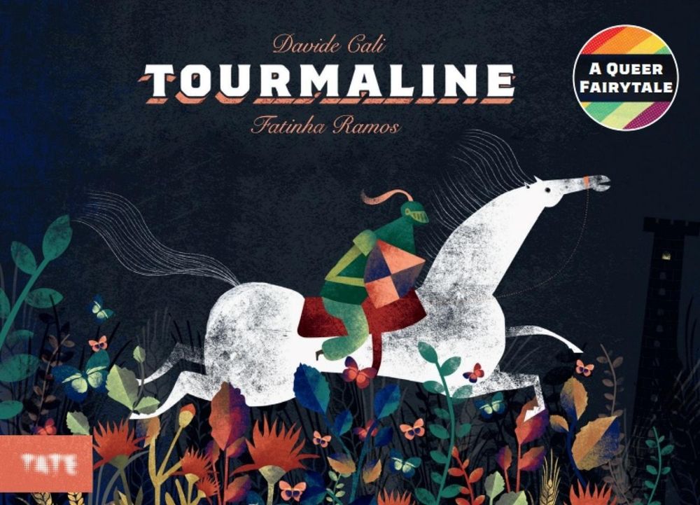 Tourmaline by Davide Calì - ISBN: 9781849768702
