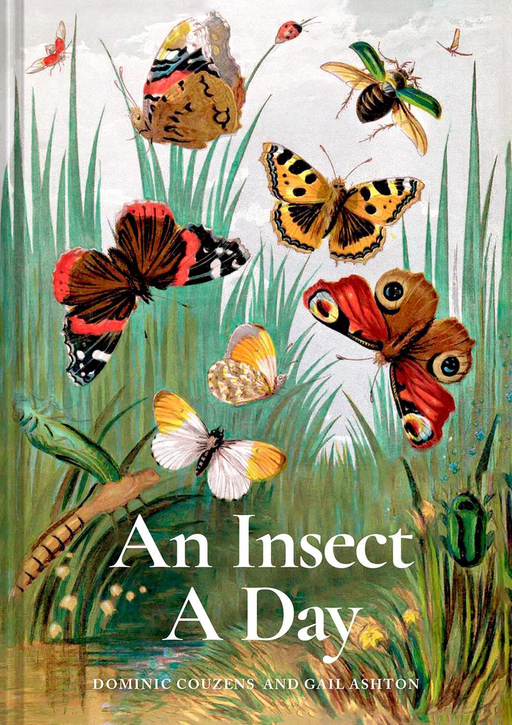 An Insect A Day, 9781849947947