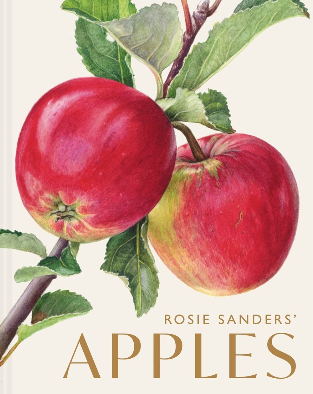 Rosie Sanders’ Apples by Rosie Sanders - ISBN: 9781849949729