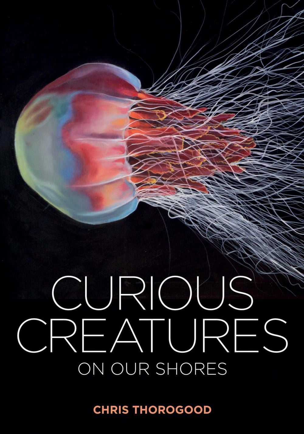 Curious Creatures on our Shores by Chris Thorogood - ISBN: 9781851245345