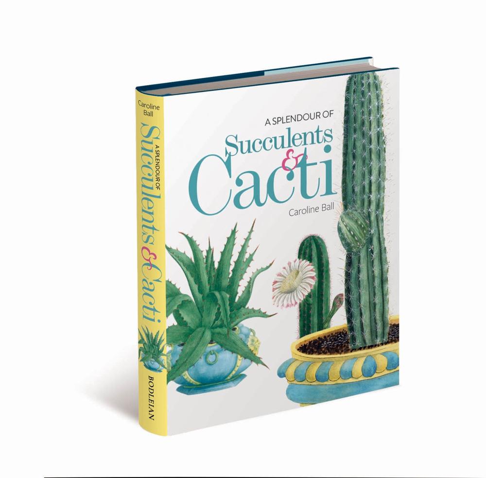 A Splendour of Succulents & Cacti, 9781851245970