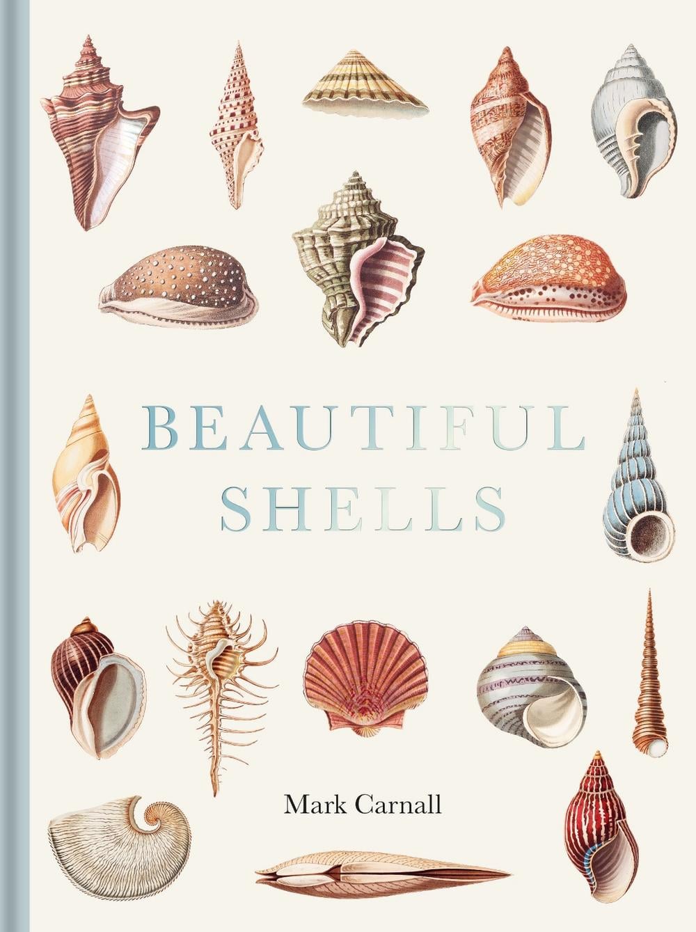 Beautiful Shells by Mark Carnall - ISBN: 9781851246168