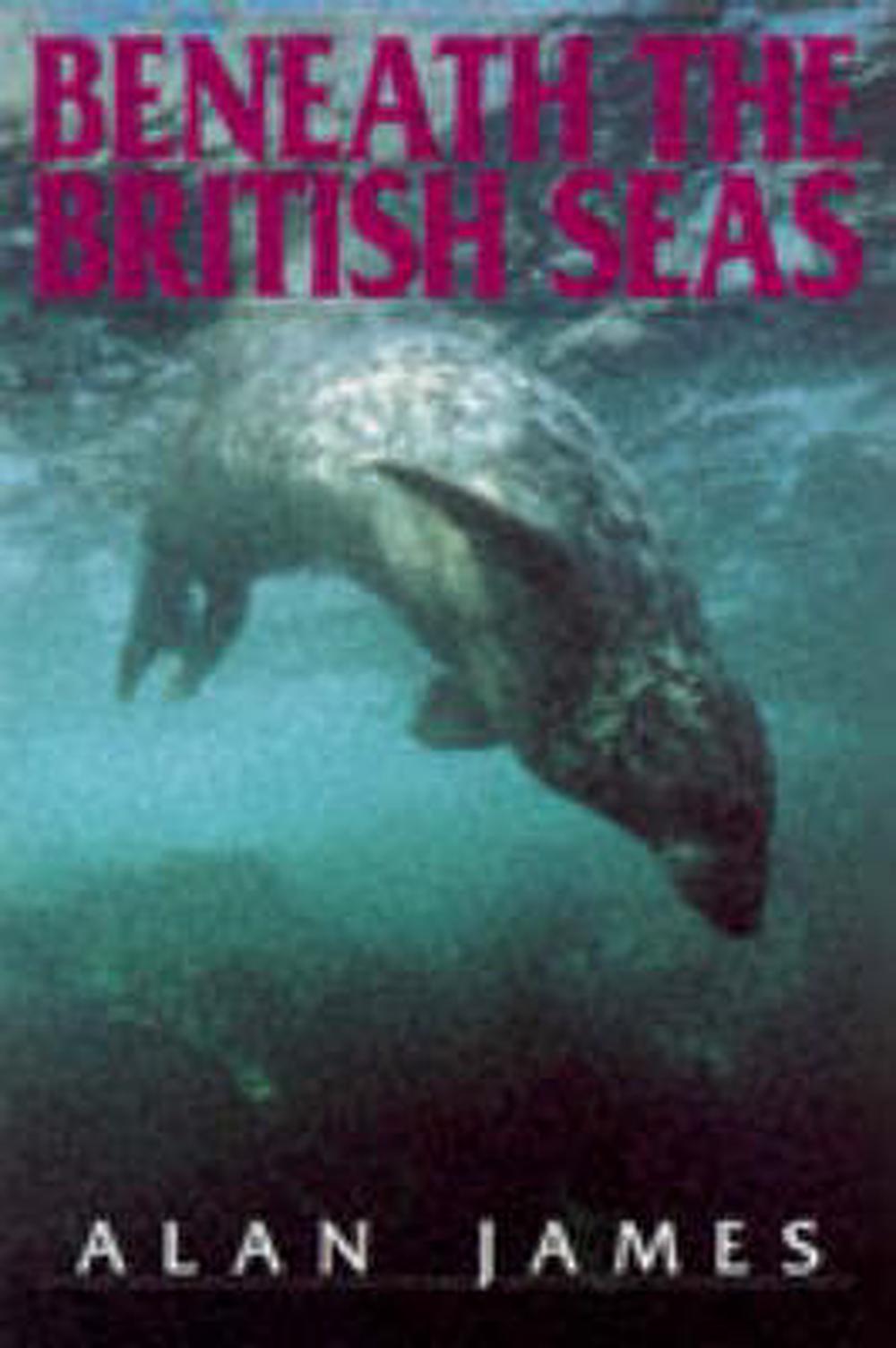 Beneath British Seas, 9781853107610