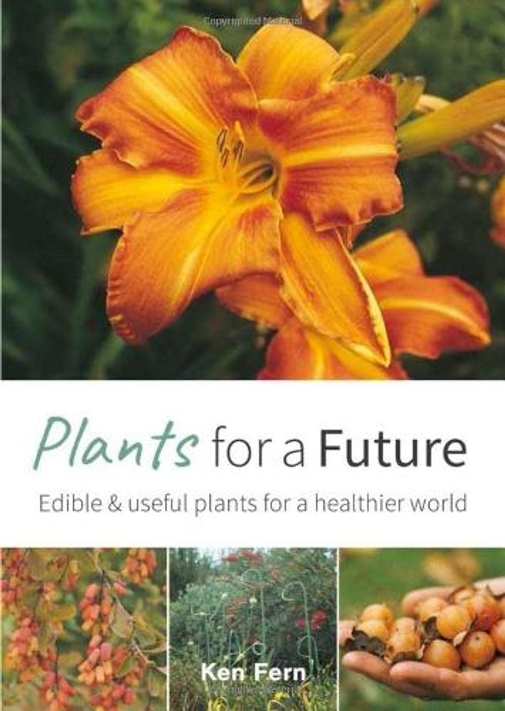 Plants for a Future: Edible and Useful Plants for a Healthier World by Ken Fern - ISBN: 9781856230117