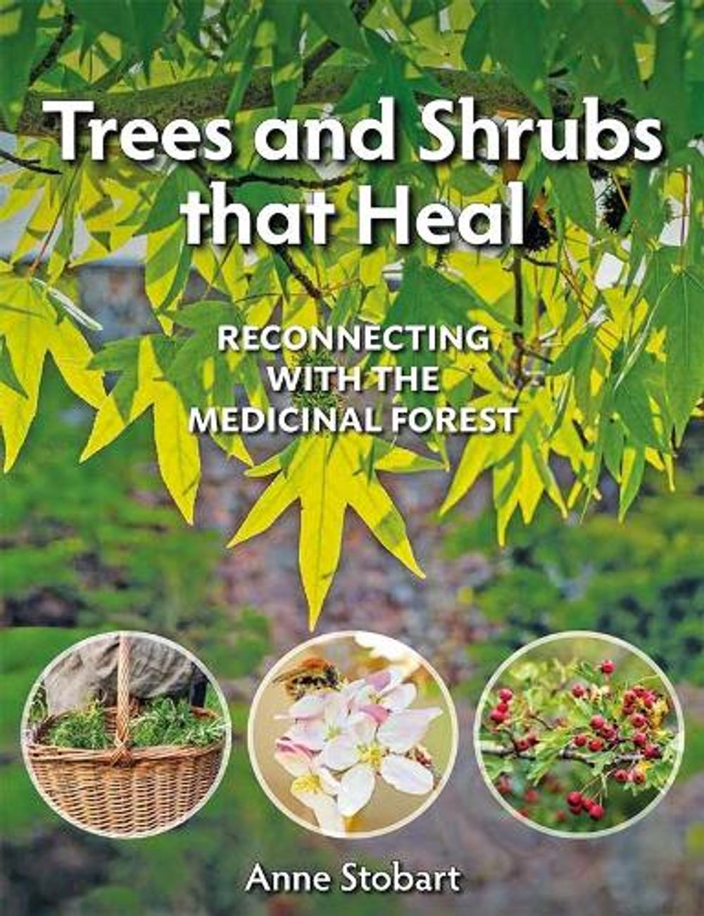 Trees and Shrubs that Heal by Anne Stobart - ISBN: 9781856232623