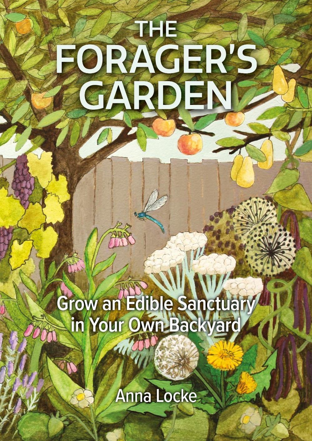 The Forager's Garden by Anna Locke - ISBN: 9781856233071