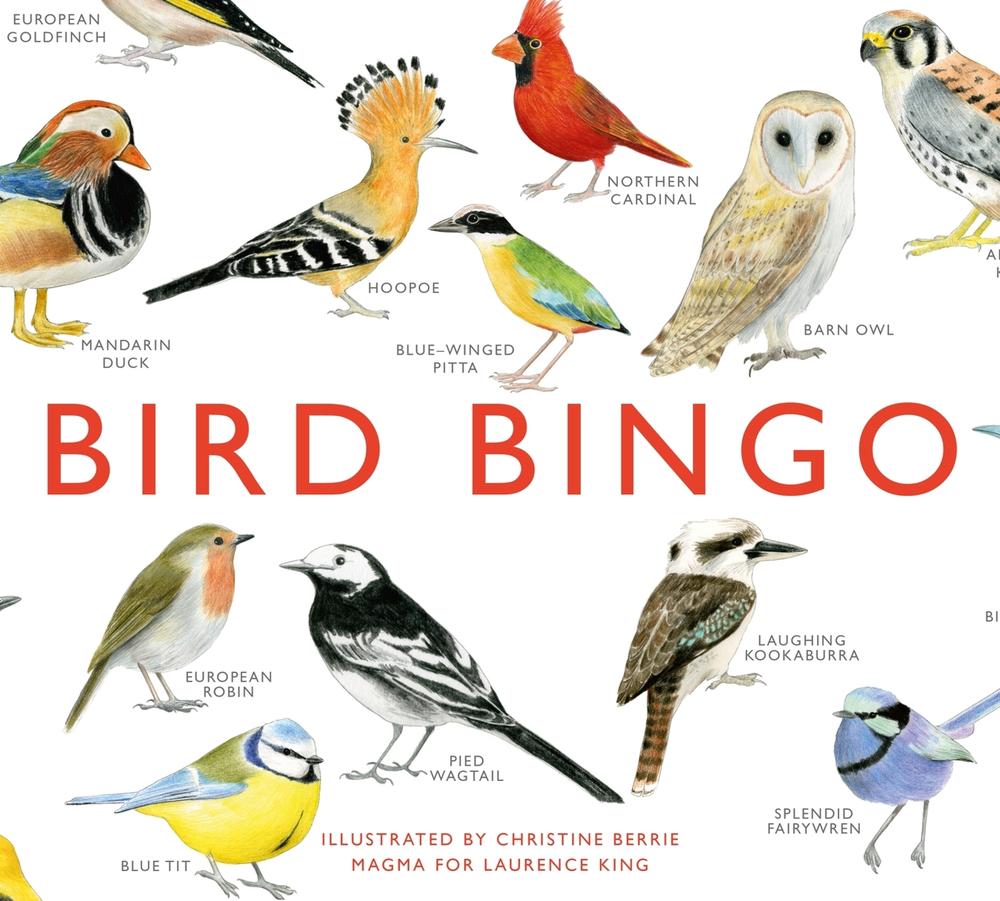 Bird Bingo, 9781856699174