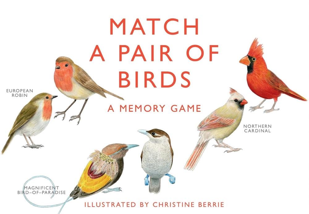 Match a Pair of Birds by Christine Berrie - ISBN: 9781856699662