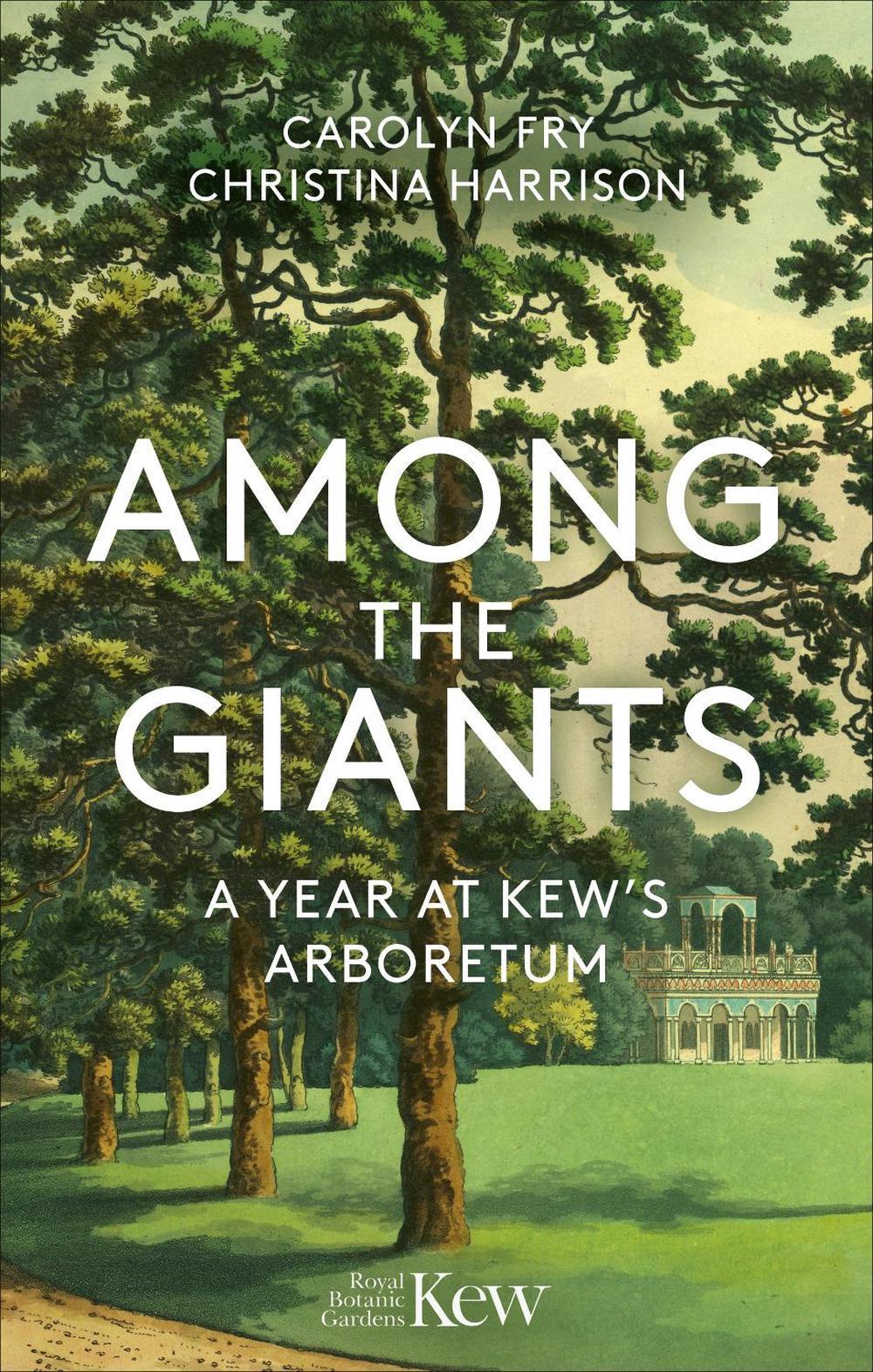 Among the Giants by Carolyn Fry - ISBN: 9781856755702