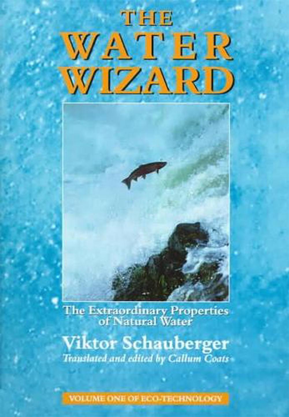 The Water Wizard, 9781858600482
