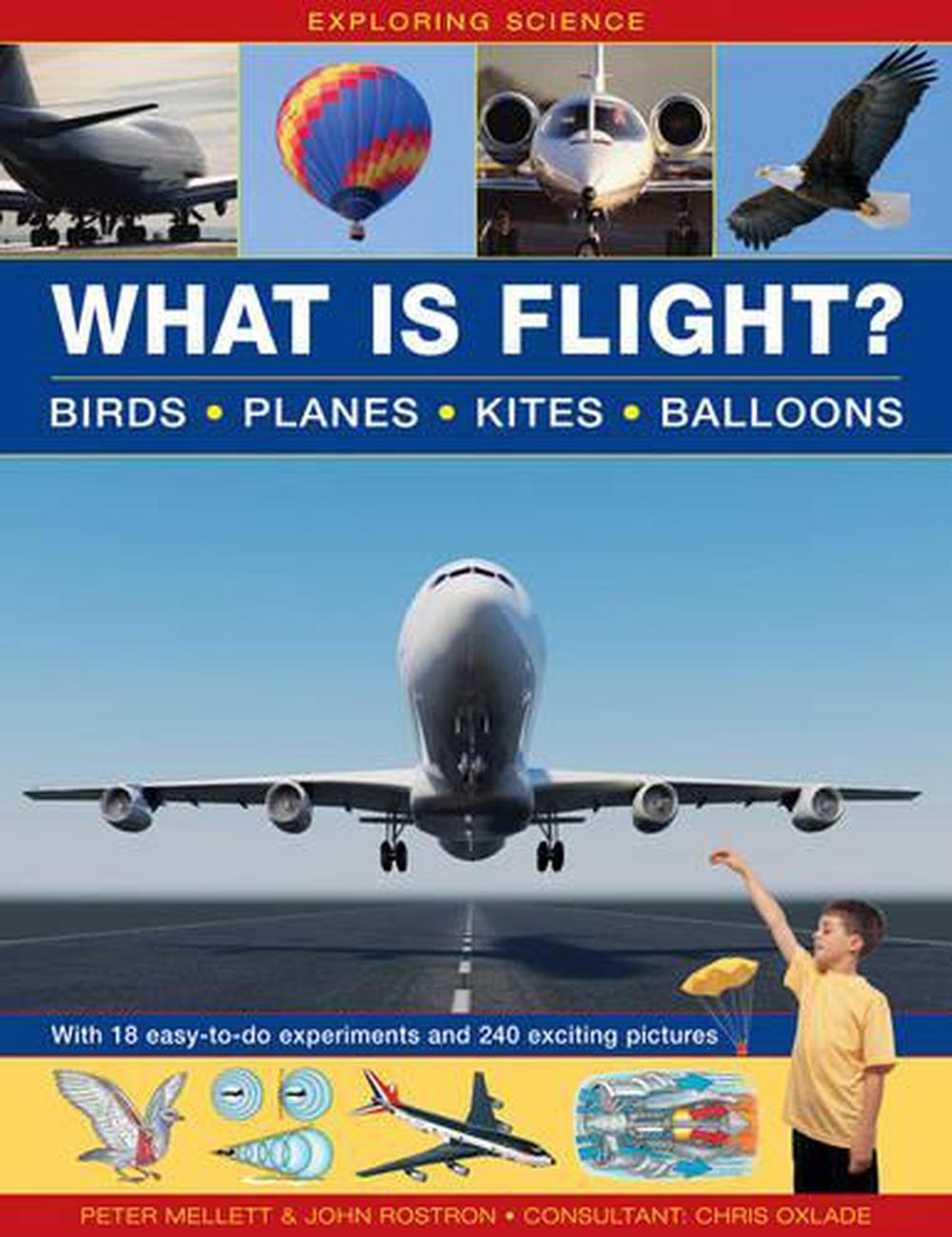 Exploring Science: What Is Flight?, 9781861474018