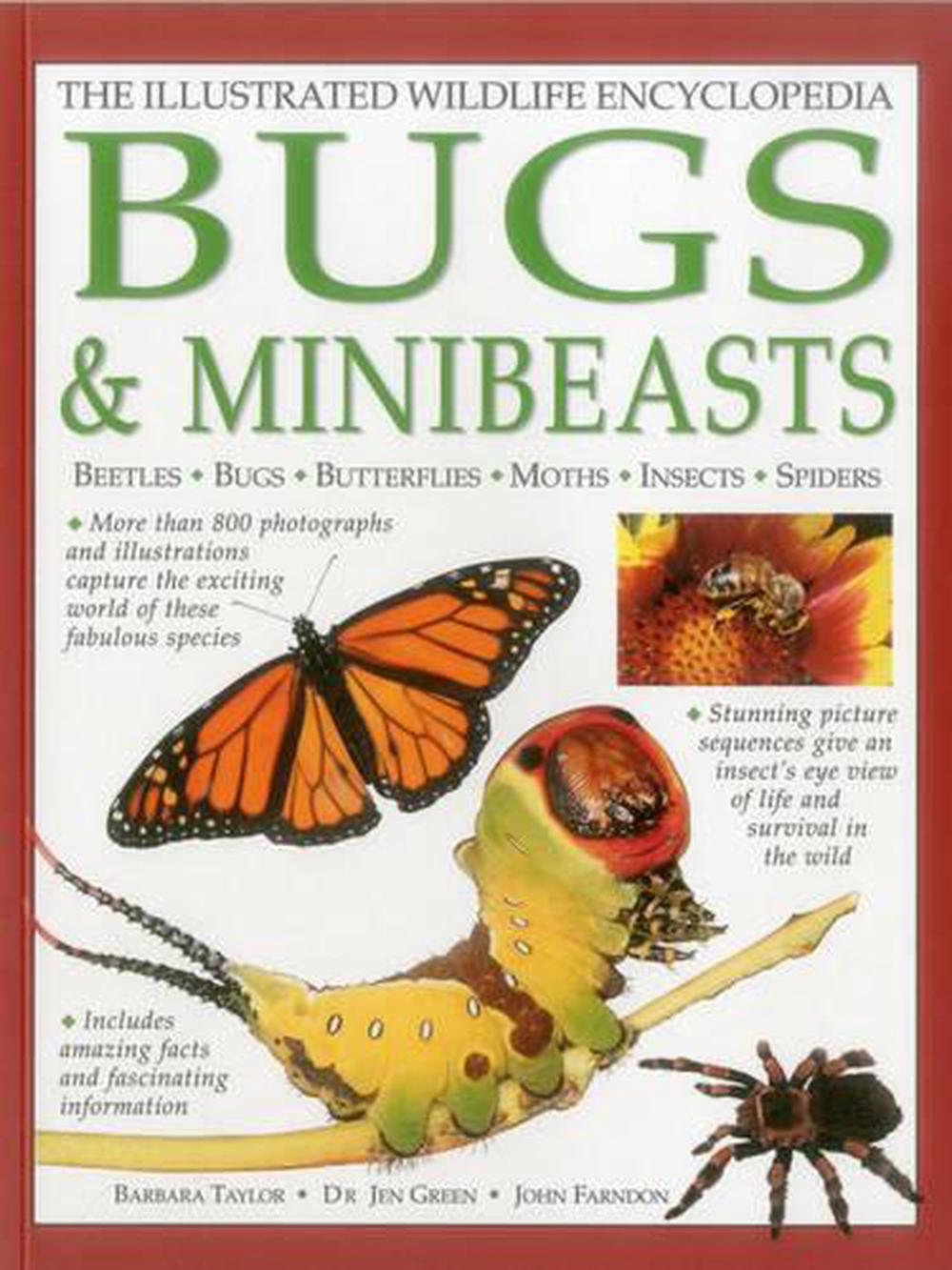 Illustrated Wildlife Encyclopedia: Bugs & Minibeasts, 9781861474223