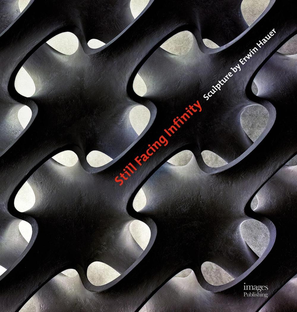 Still Facing Infinity by Edwin Hauer, Hardcover, 9781864707410 | Buy ...