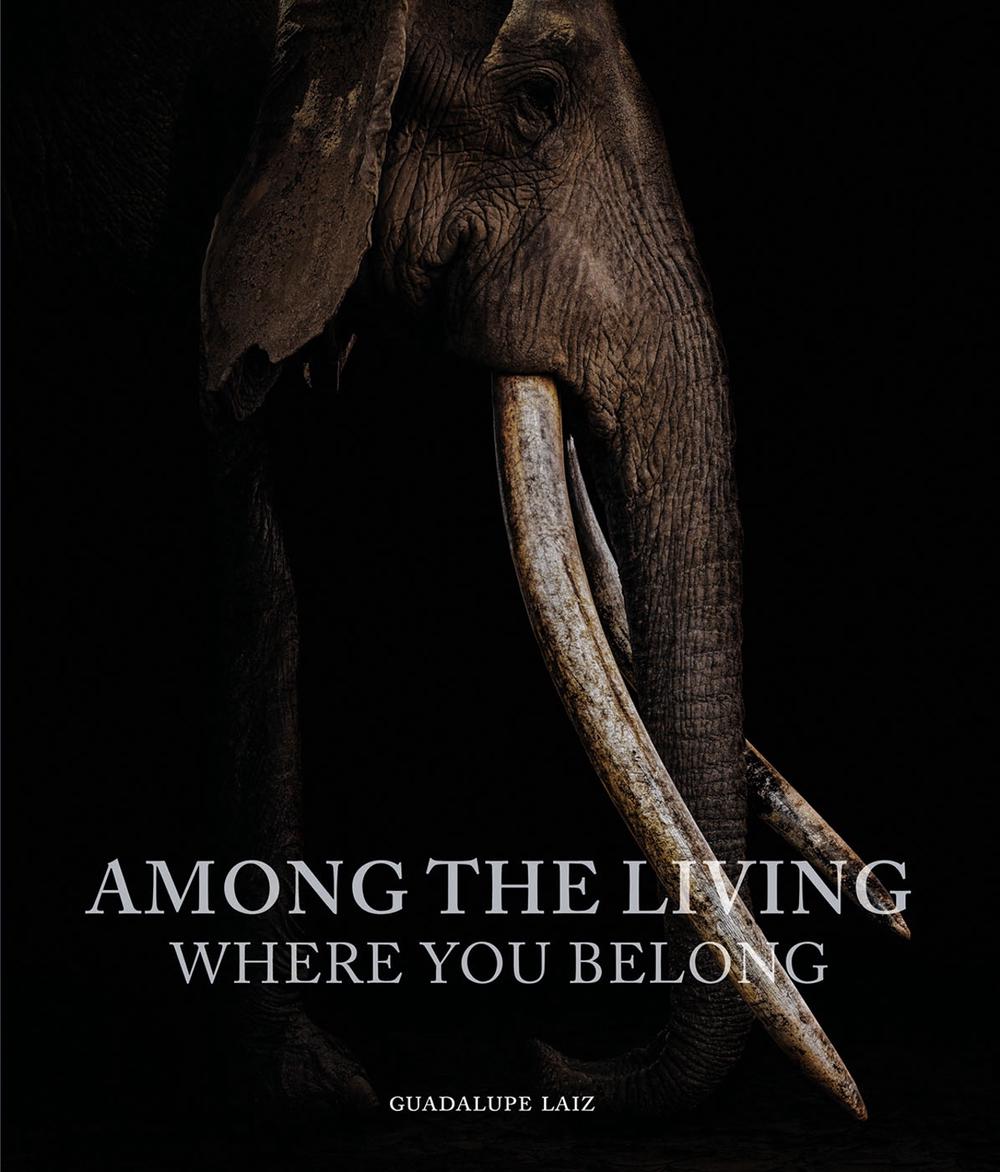 Among the Living by Guadalupe Laiz - ISBN: 9781864709650