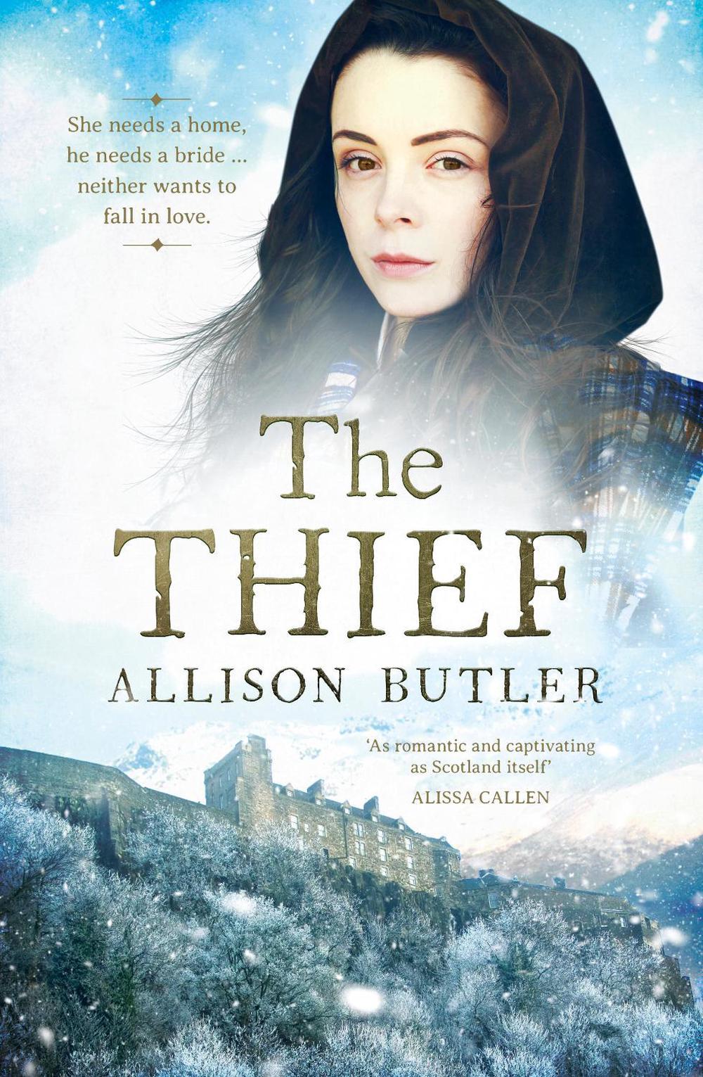 The Thief by Allison Butler - ISBN: 9781867222385