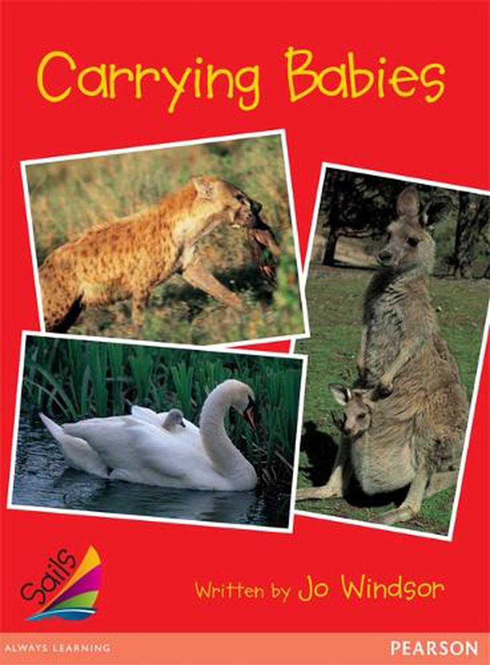 Sails Early Red Set 1, 9781869441869