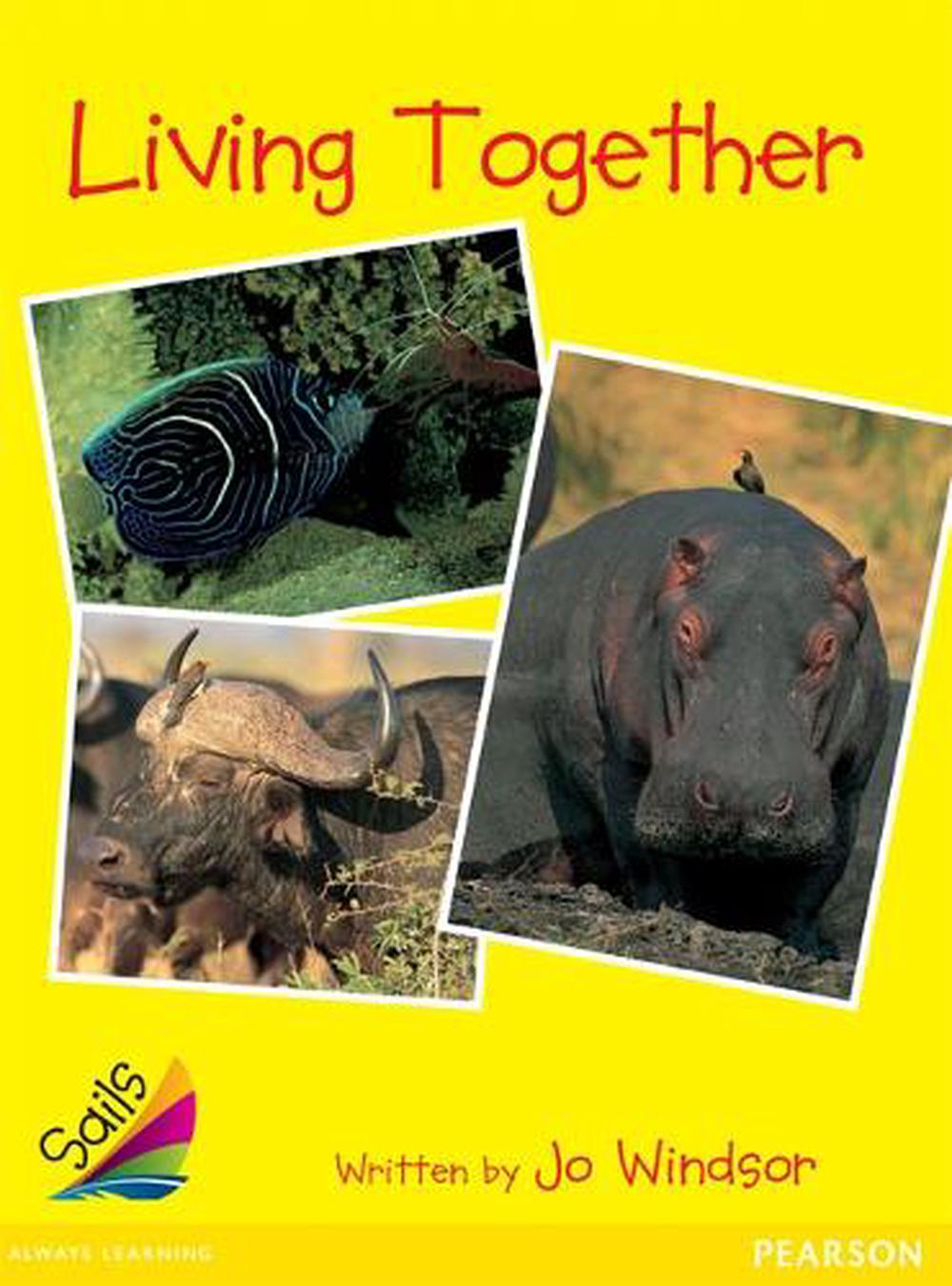 Sails Early Yellow Set 1, 9781869442040