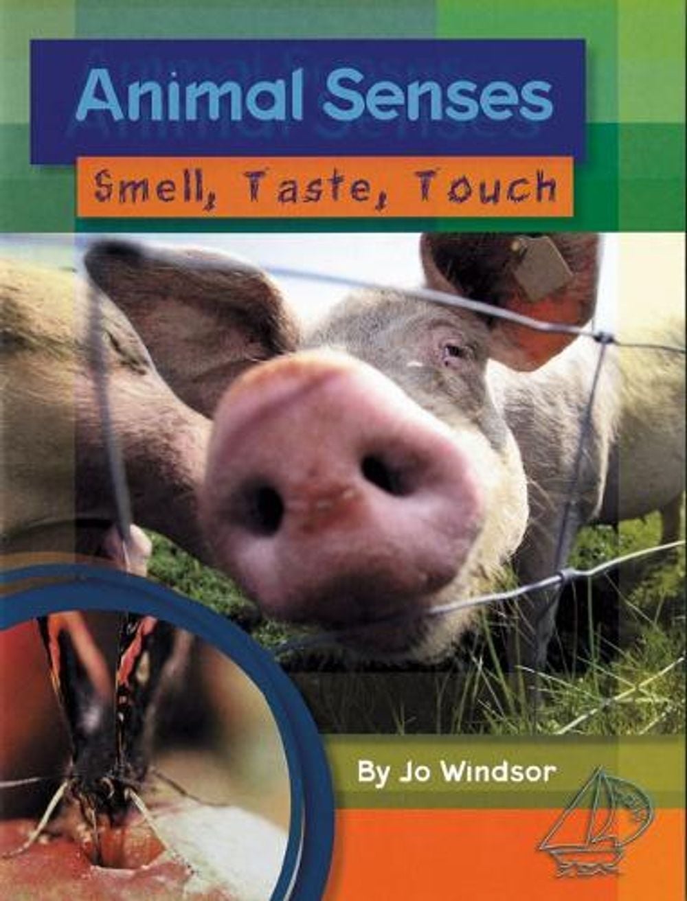 MainSails 1 (Ages 9-10) by Jo Windsor - ISBN: 9781869447885