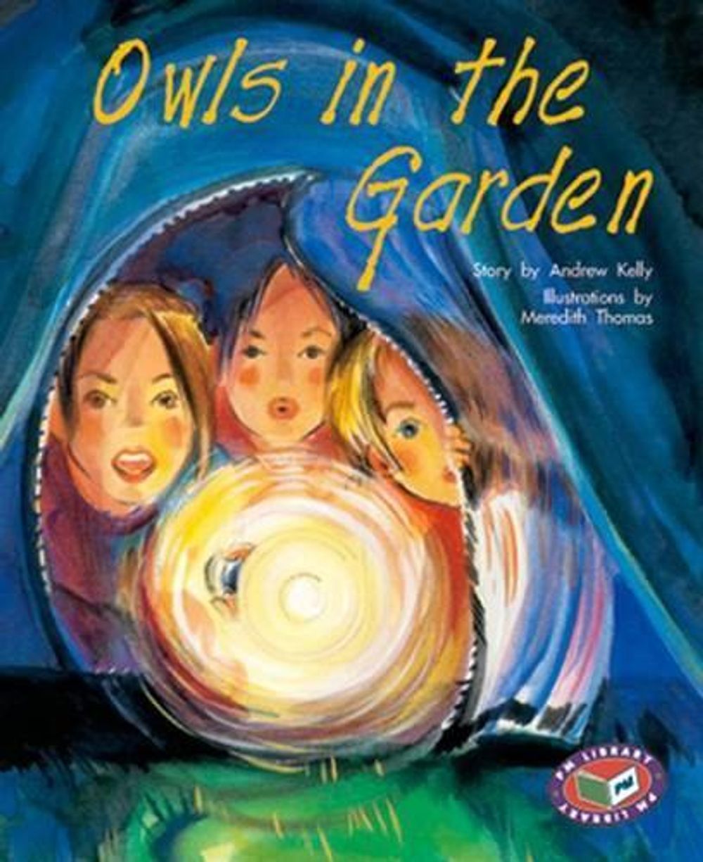 Owls in the Garden, 1st Edition by Andrew Kelly, Paperback ...