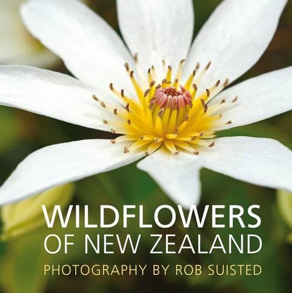 Wildflowers Of New Zealand, 9781869663773