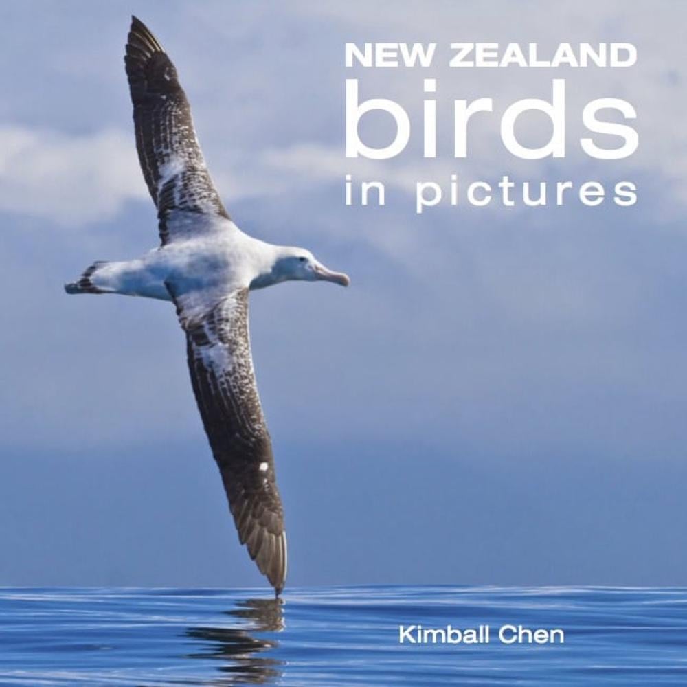 New Zealand Birds in Pictures by Kimball Chen - ISBN: 9781869664831