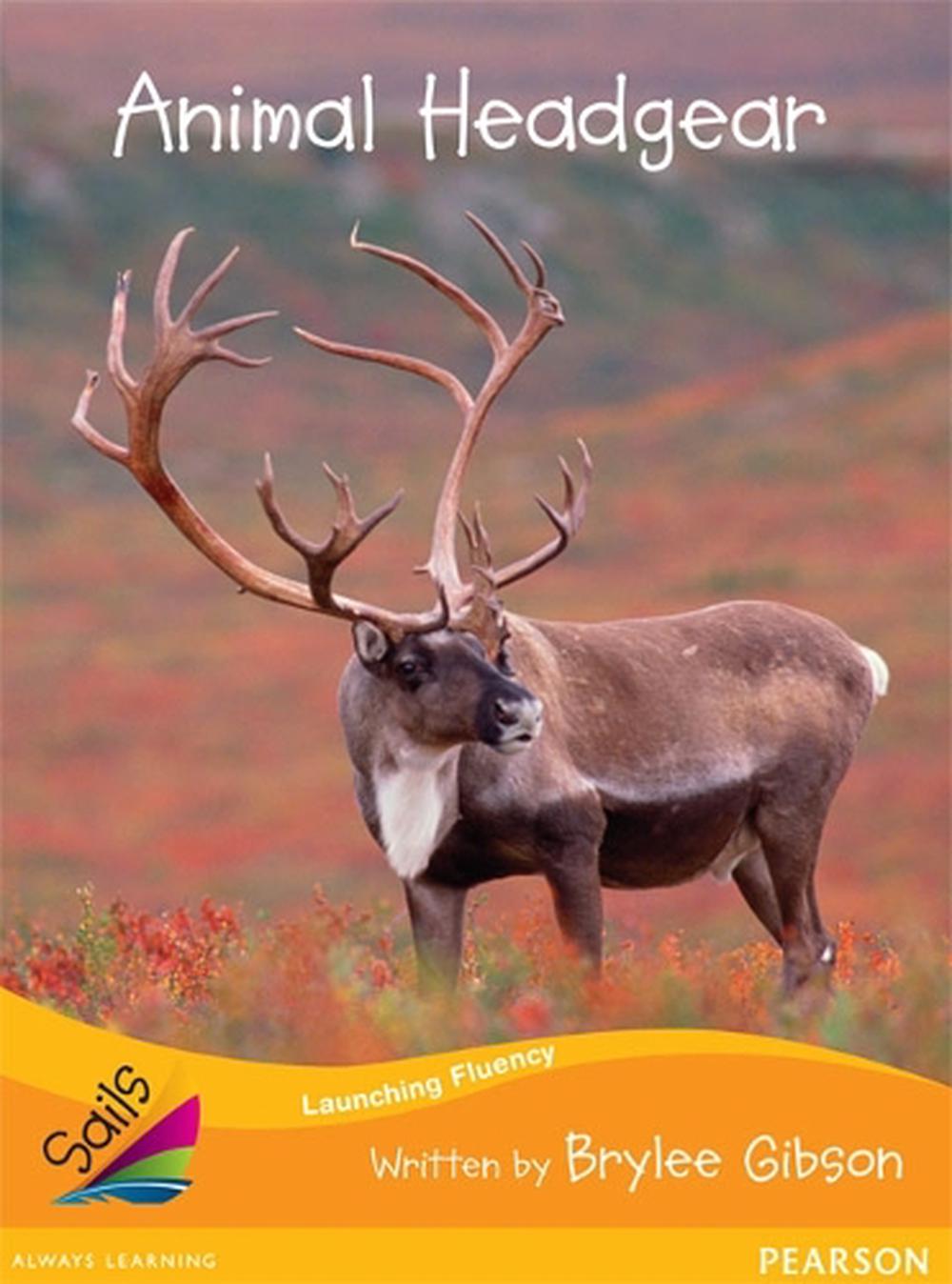 Sails Fluency Orange Set 1, 9781869700720