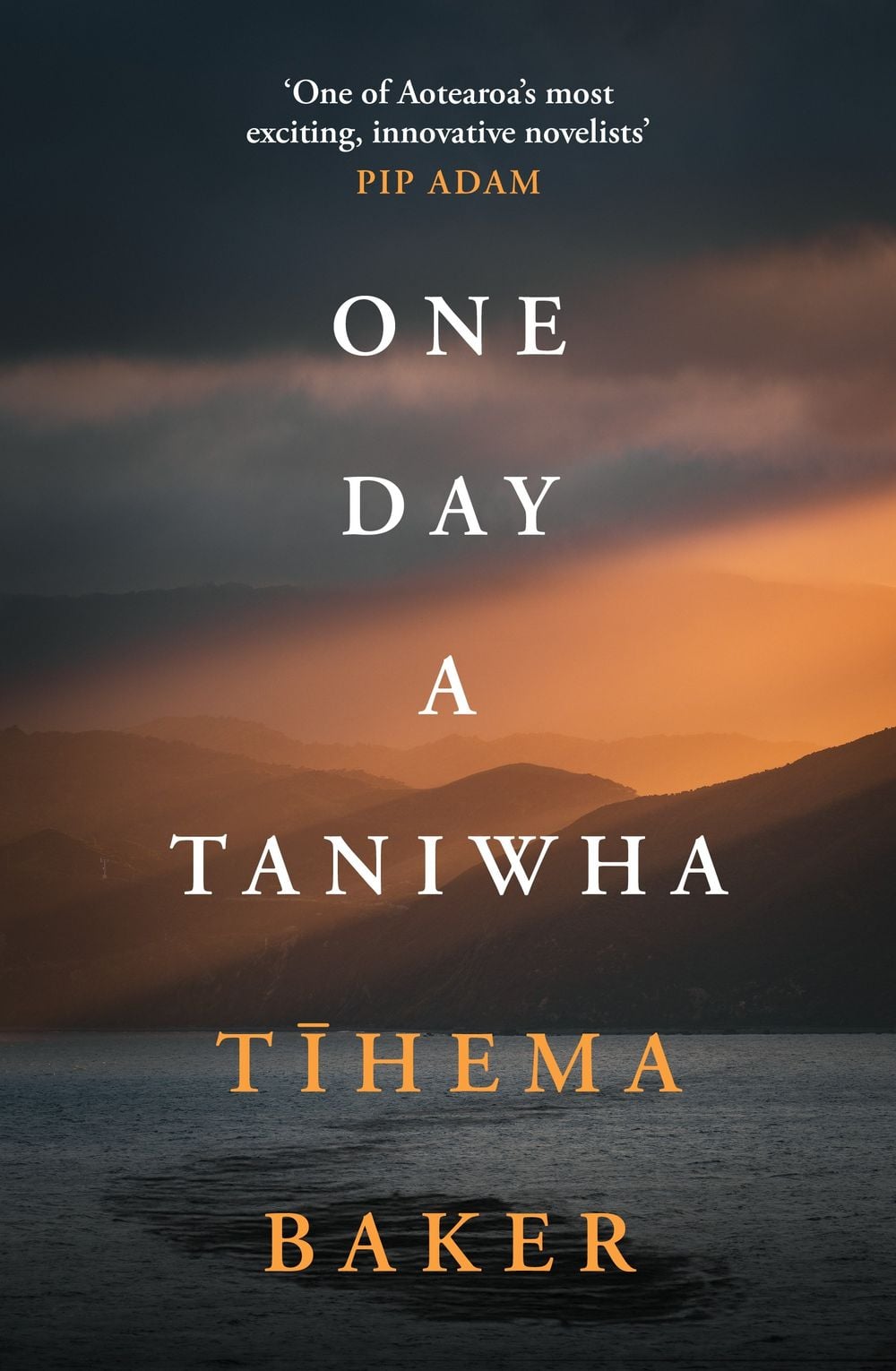 ISBN: 9781869718800