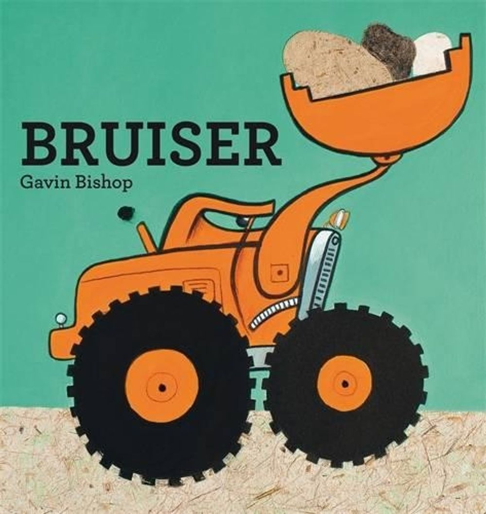 Bruiser by Gavin Bishop - ISBN: 9781869794514