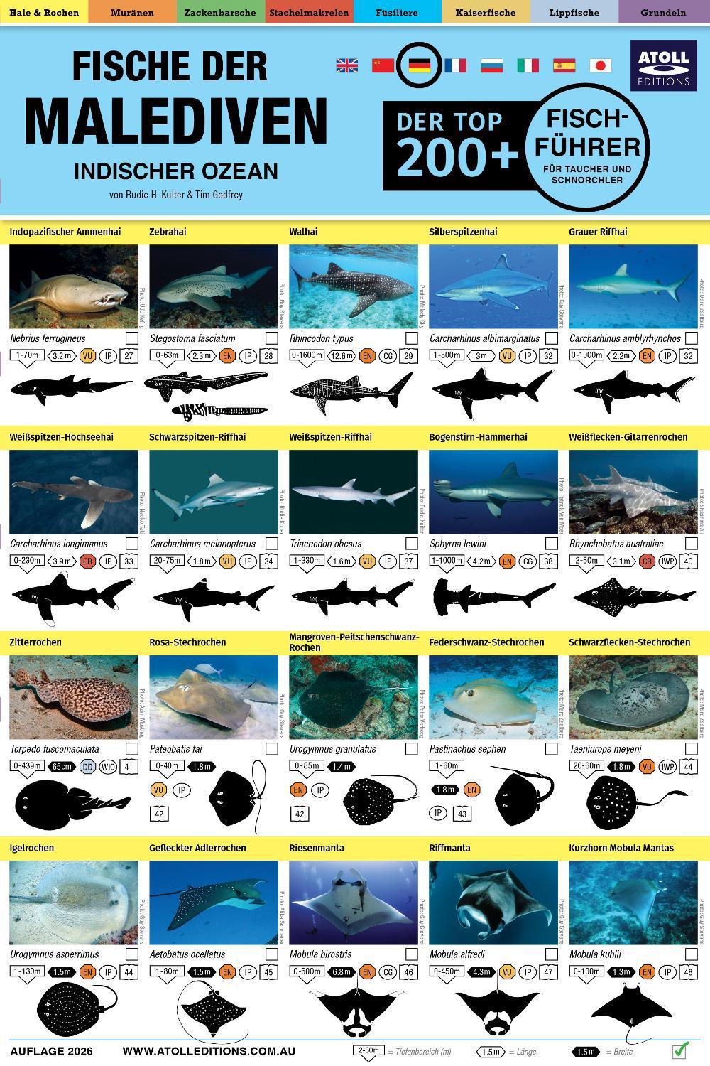 Malediven Fisch-Feldführer, 9781876410070