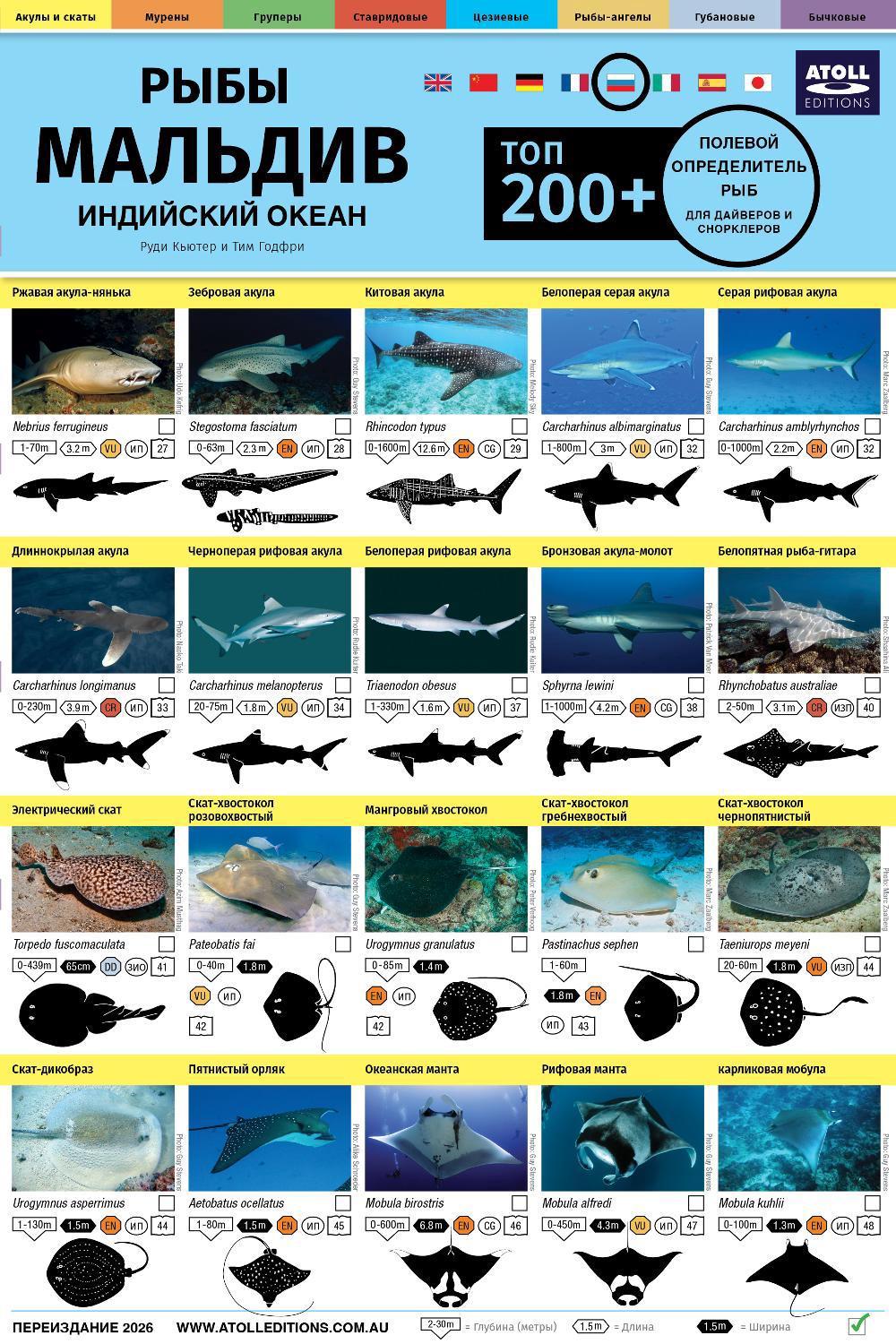 Polevoy Opredelitel Ryb, 9781876410179