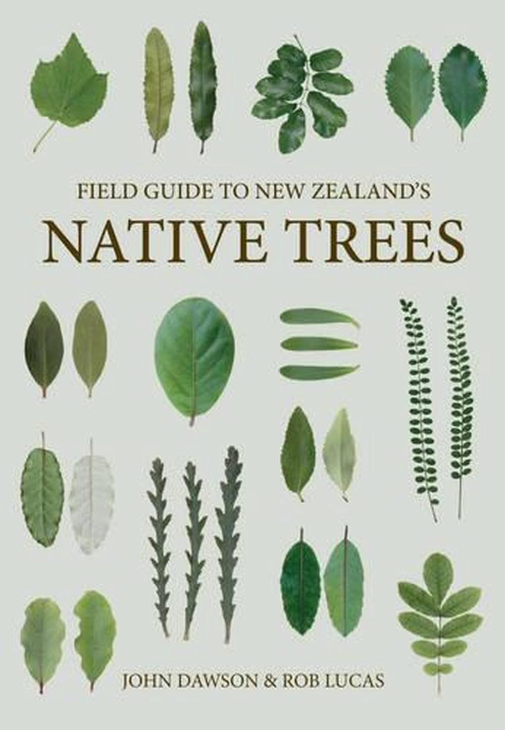 A Field Guide to Imaginary Trees by Joseph Bulgatz