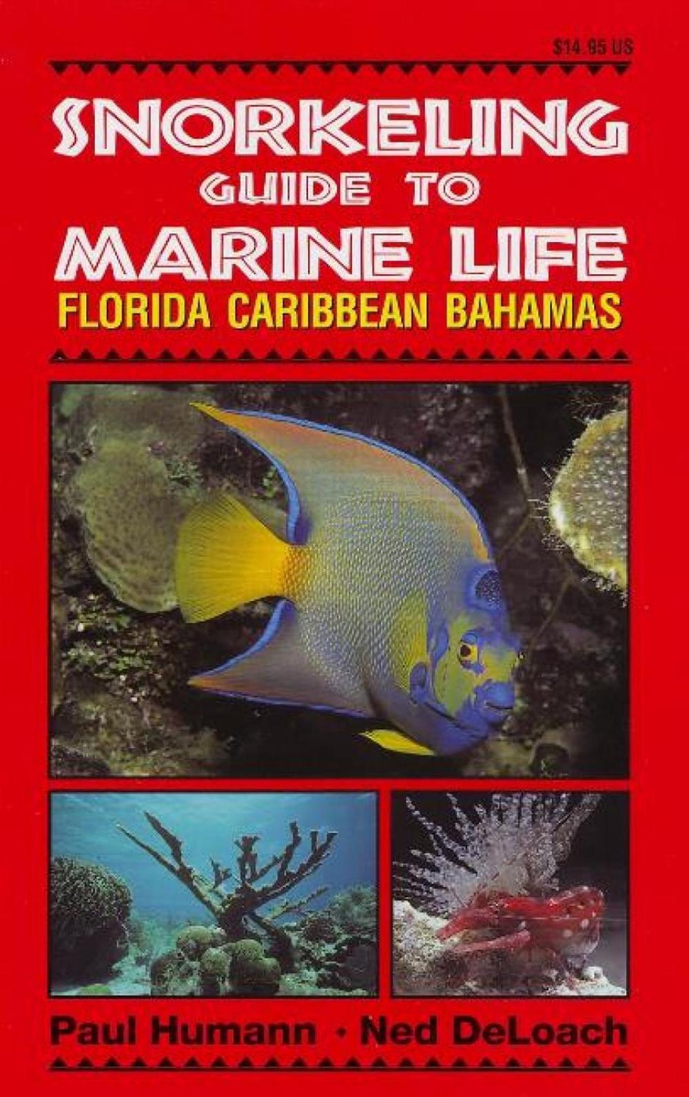 Snorkeling Guide to Marine Life, 9781878348104