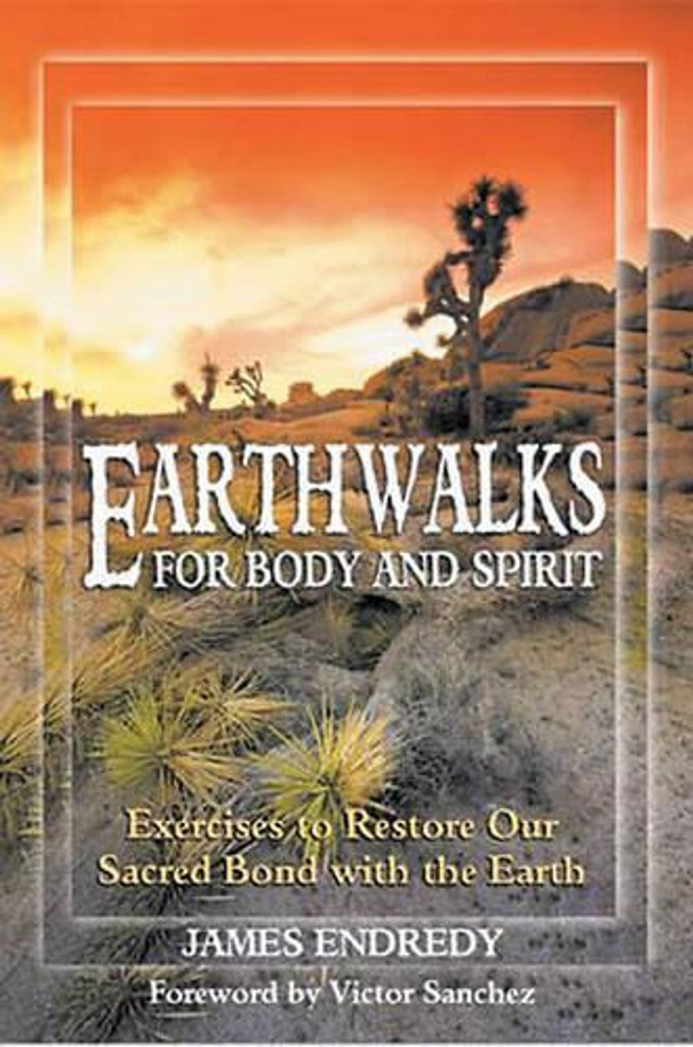 Earth Walks for Body and Spirit by James Endredy - ISBN: 9781879181786
