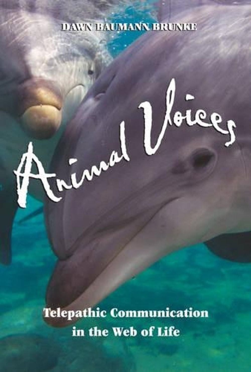 Animal Voices by Dawn Baumann Brunke - ISBN: 9781879181915