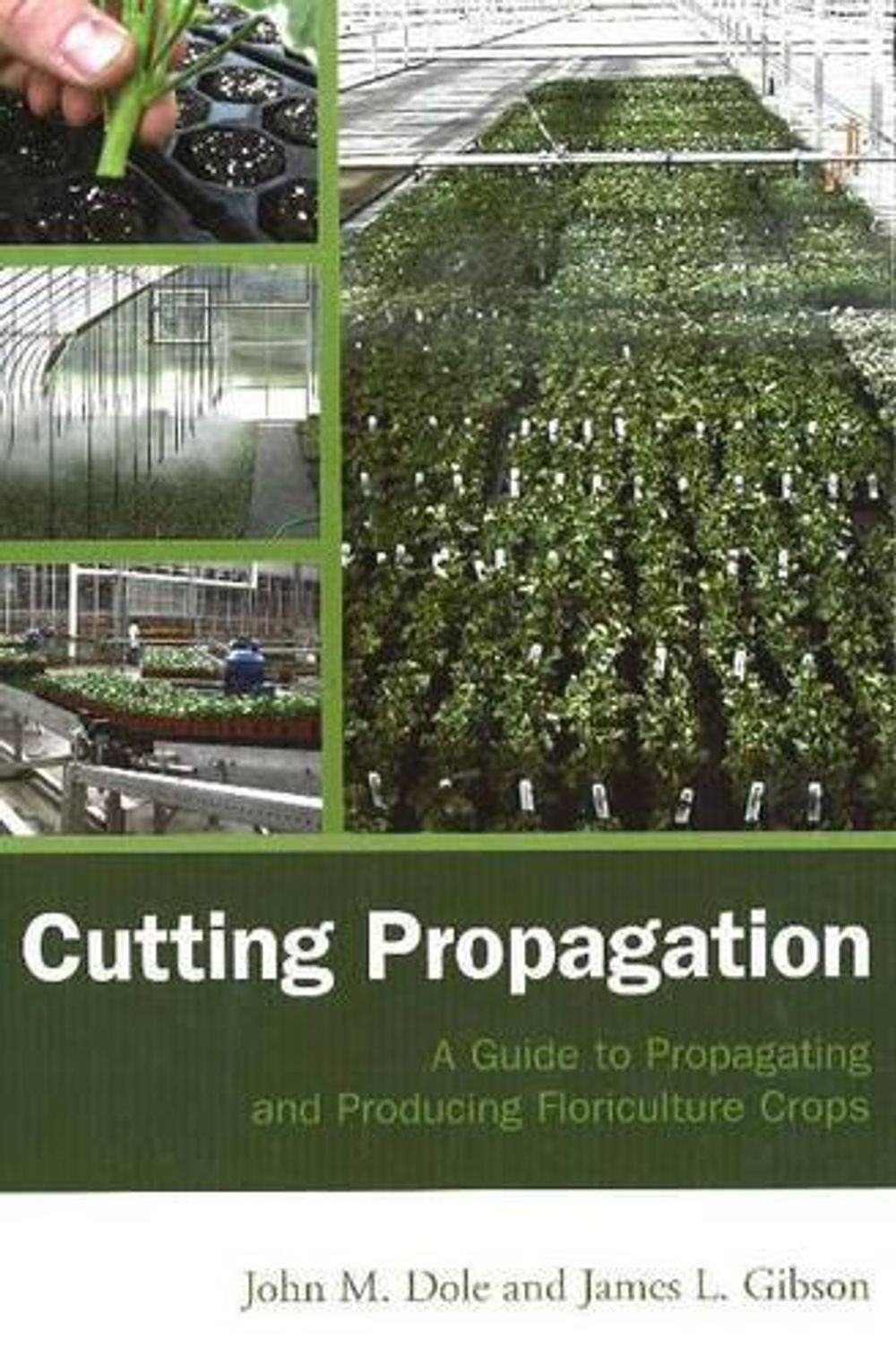 Cutting Propagation by John M. Dole - ISBN: 9781883052485