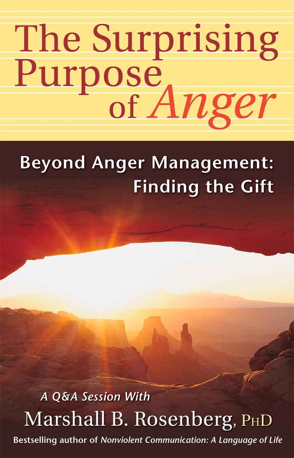 The Surprising Purpose of Anger, 9781892005151