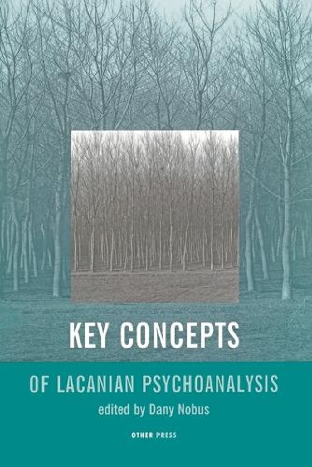 Key Concepts of Lacanian Psychoanalysis by Dany Nobus - ISBN: 9781892746146